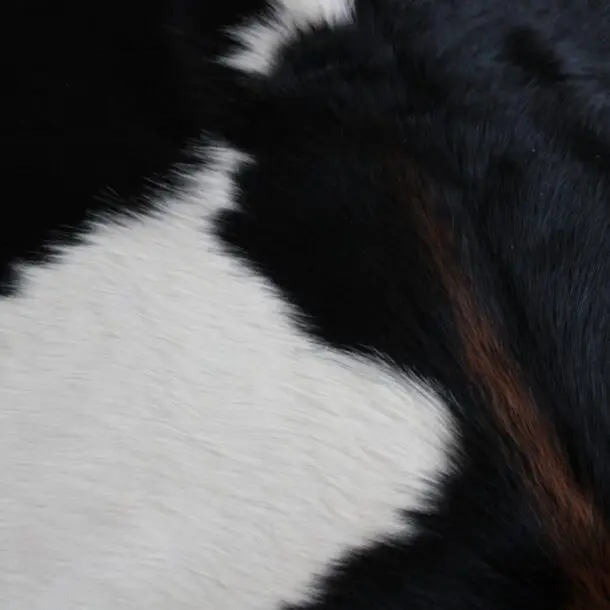 Cowhide Rug Black and White C01086