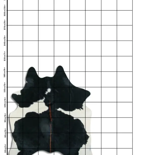 Cowhide Rug Black and White C01086