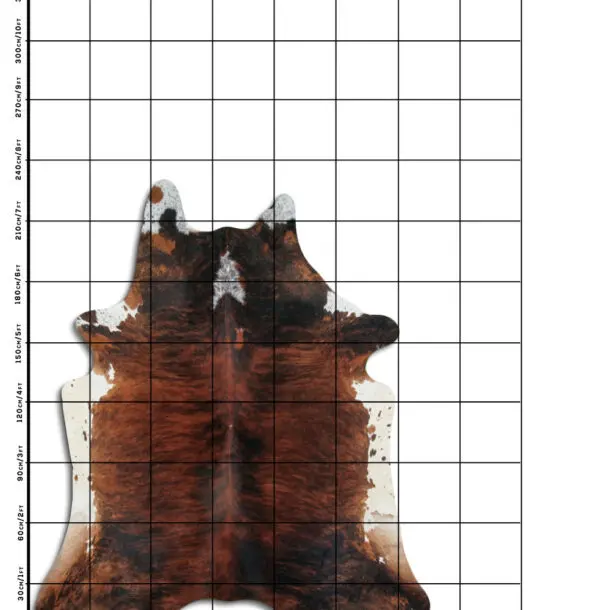 Cowhide Rug Exotic C01087