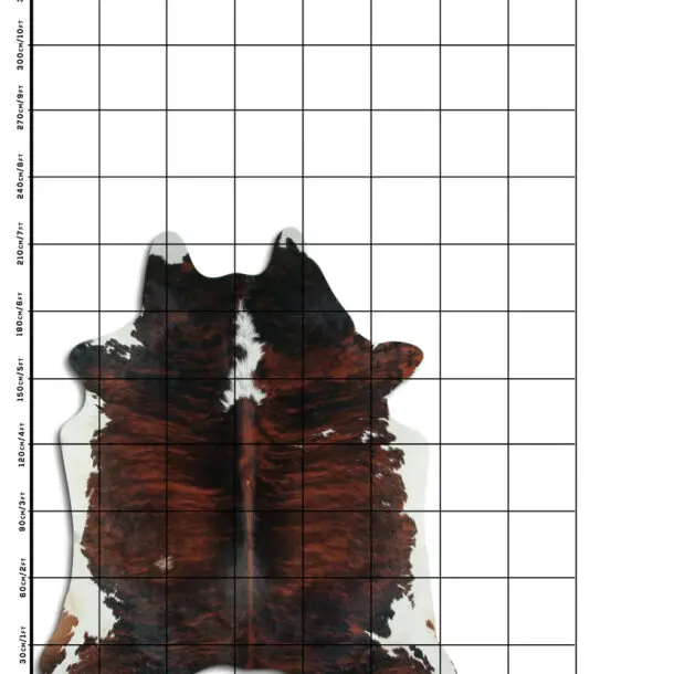 Cowhide Rug Exotic C01088