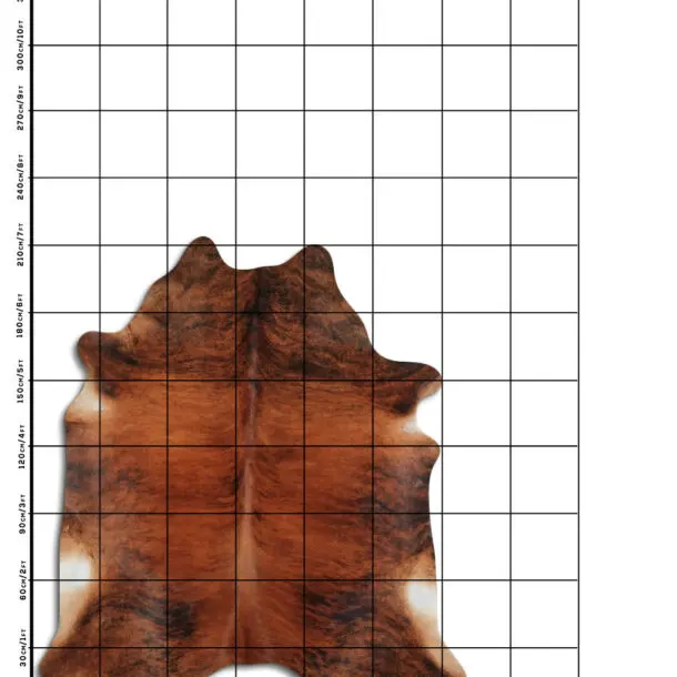 Cowhide Rug Exotic C01089