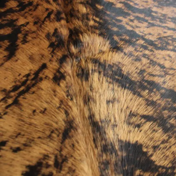 Cowhide Rug Exotic C01090