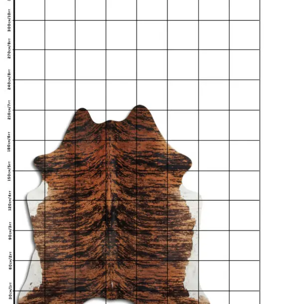 Cowhide Rug Exotic C01090