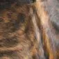 Cowhide Rug C01091 (3) Close-up of a brindle cowhide rug featuring a mix of dark brown, tan, and black textured hair.
