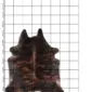 Cowhide Rug C01091 a (1) Natural cowhide rug with dark brown and black brindle markings in an irregular shape.