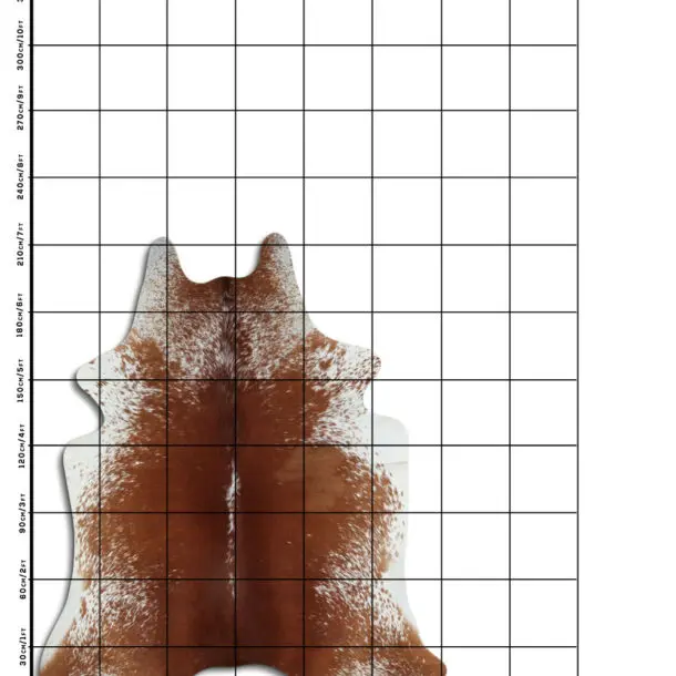 Cowhide Rug Speckled C01092