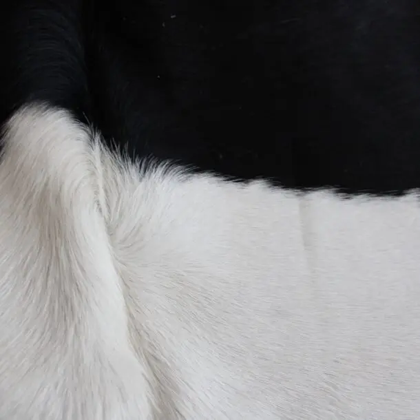 Cowhide Rug Black and White C01093
