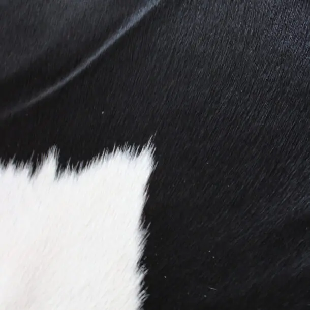 Cowhide Rug Black and White C01093