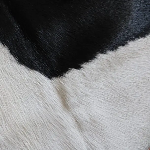 Cowhide Rug Black and White C01093
