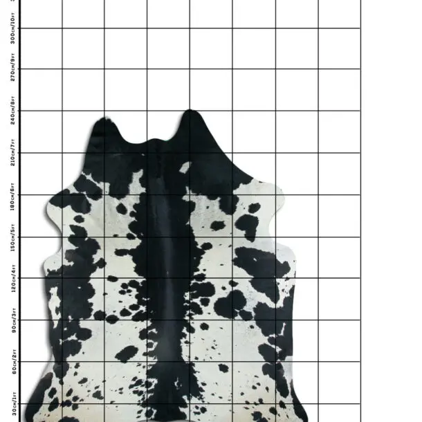 Cowhide Rug Black and White C01094