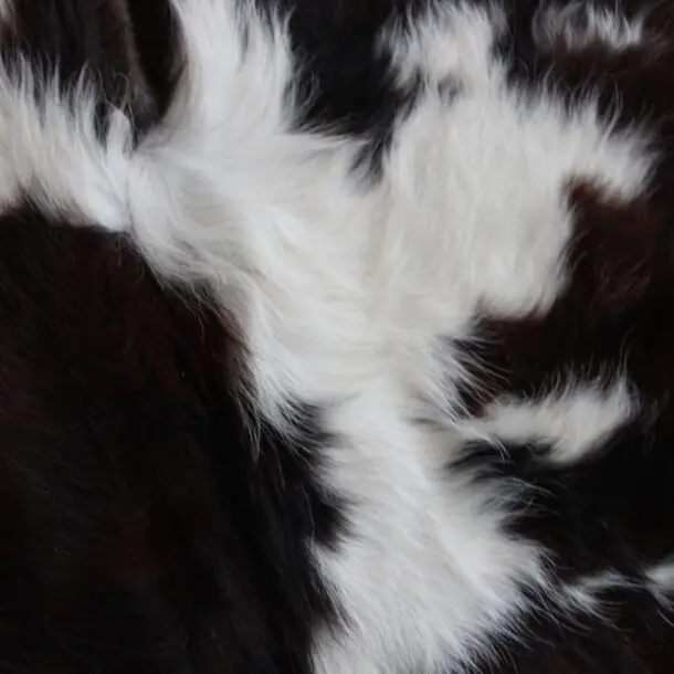 Cowhide Rug Exotic C01095