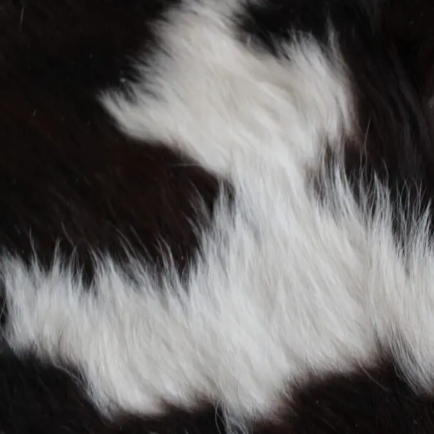 Cowhide Rug Exotic C01095