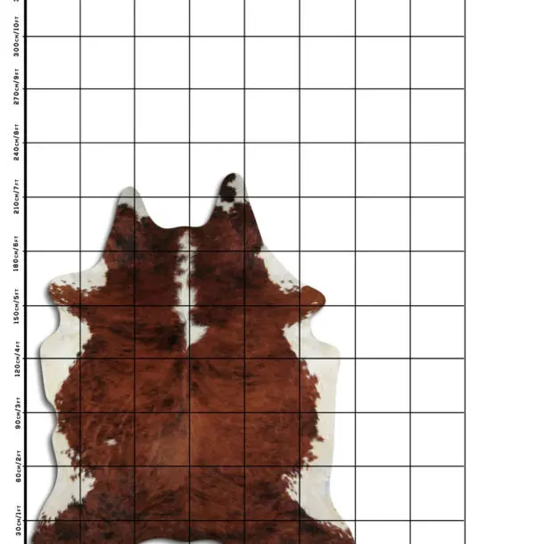 Cowhide Rug Exotic C01096