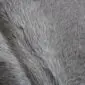 Close-up of a grey cowhide rug showing the natural hair texture and tonal variations. detail view detail view