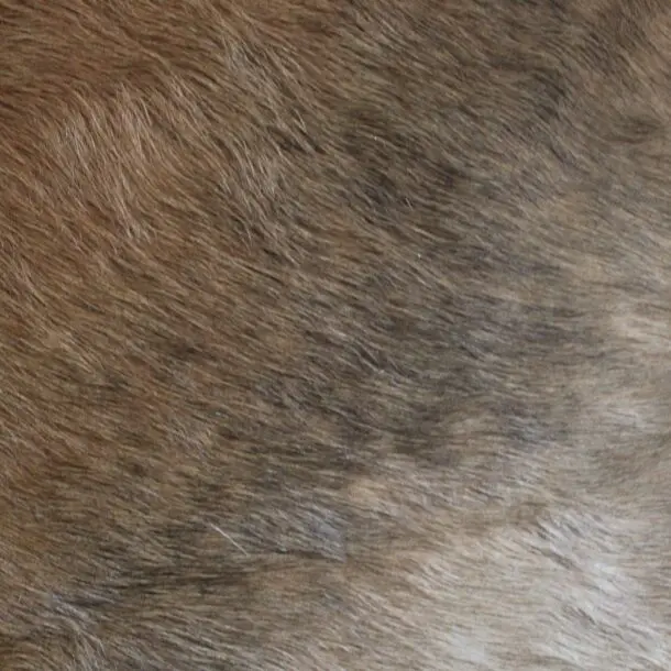 Cowhide Rug Brown C01098
