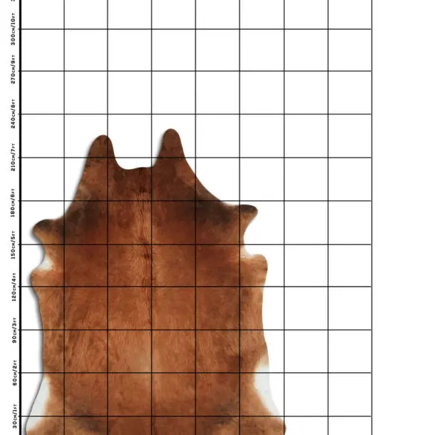 Cowhide Rug Brown C01098