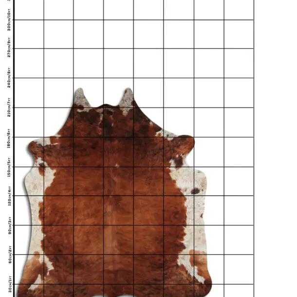 Cowhide Rug Exotic C01099