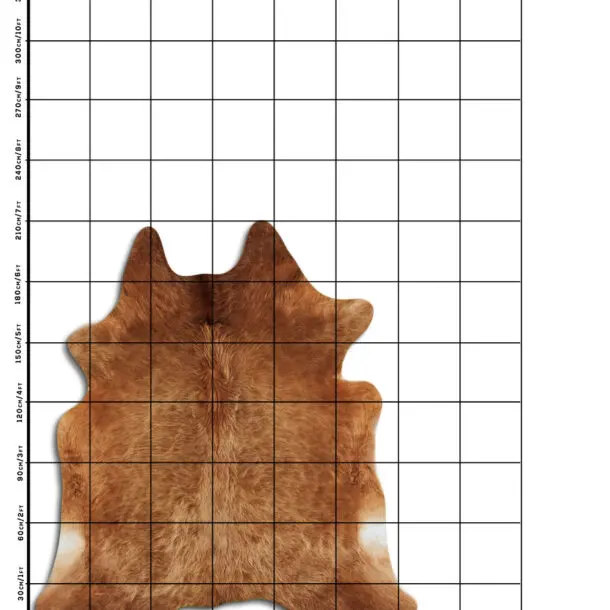 Cowhide Rug Caramel C01100