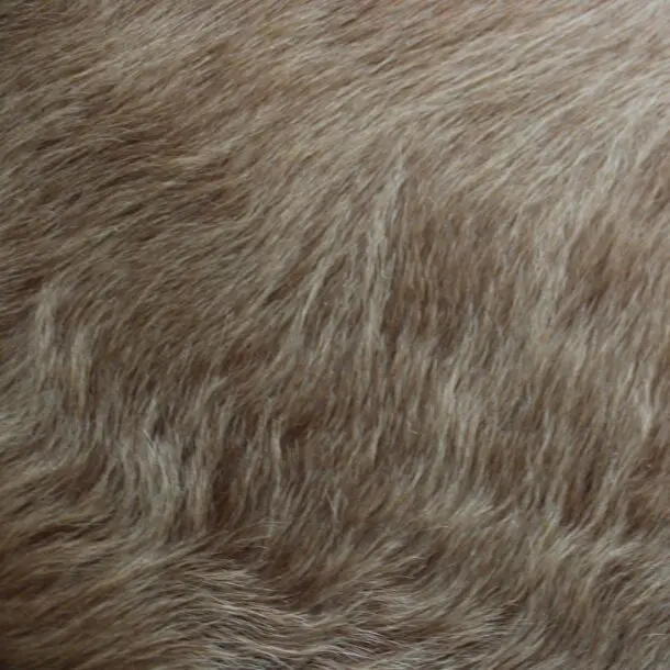 Cowhide Rug Exotic Beige C01101