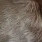 Close-up of a beige and cream cowhide rug showing the natural hair texture and colour variations.