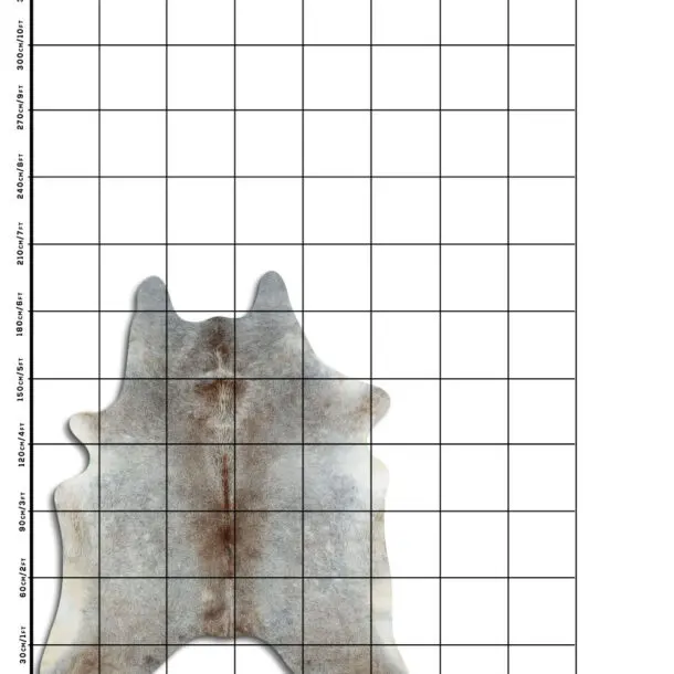 Cowhide Rug Tan Grey C01102