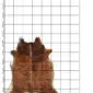 Cowhide Rug C01103 a (1) Natural cowhide rug with brown and black brindle markings on a white grid background.
