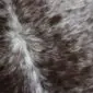 Close-up of a speckled cowhide rug featuring a natural mix of dark brown, grey, and white hair textures.