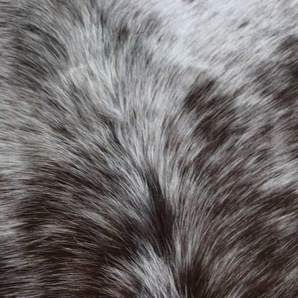 Cowhide Rug Speckled C01104