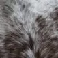 Close-up of a speckled cowhide rug featuring a dense pattern of grey, brown, and white natural hair fibres.