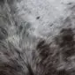 Close-up of a speckled cowhide rug with grey, white and brown natural hair textures.