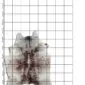 Natural cowhide rug with grey and brown speckled markings on a white background, shown over a grid.