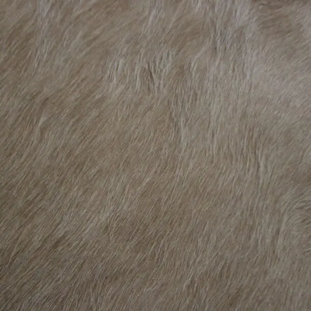 Cowhide Rug Exotic Beige C01105