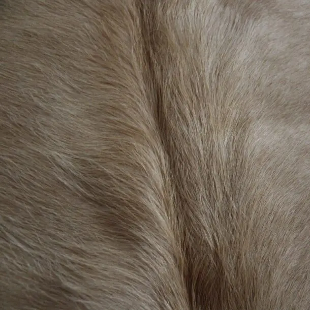Cowhide Rug Exotic Beige C01105