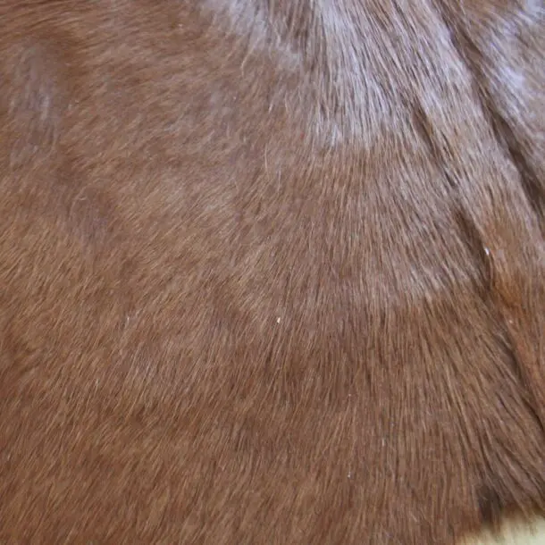 Cowhide Rug Brown C01106