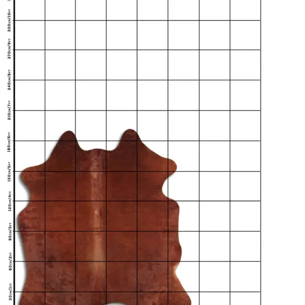 Cowhide Rug Brown C01106