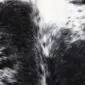 Close-up of a speckled cowhide rug featuring a natural pattern of black and white short-hair fur.