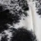 Close-up of a speckled cowhide rug featuring a natural black and white hair-on-hide texture.