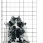 Natural cowhide rug with black and white speckled pattern on a grid background.