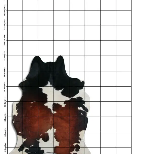 Cowhide Rug Exotic C01108