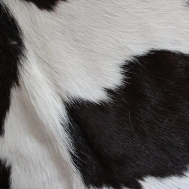 Cowhide Rug Exotic C01109