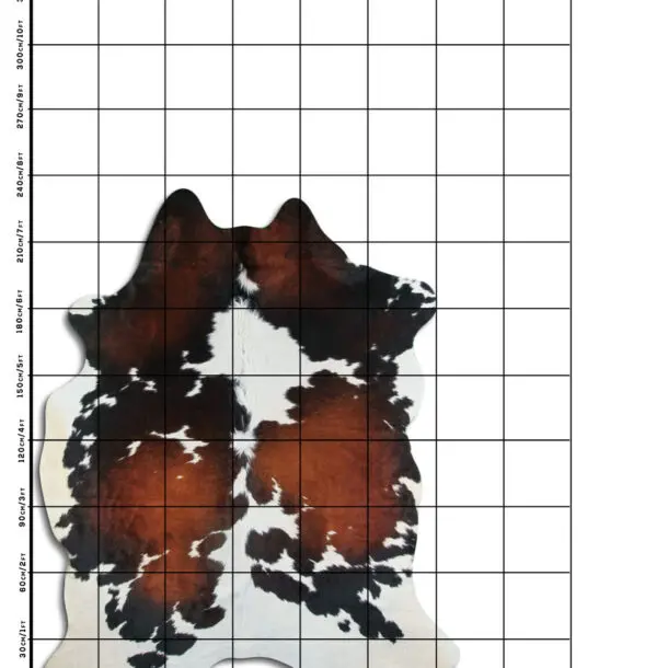 Cowhide Rug Exotic C01109
