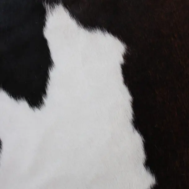 Cowhide Rug Exotic C01110