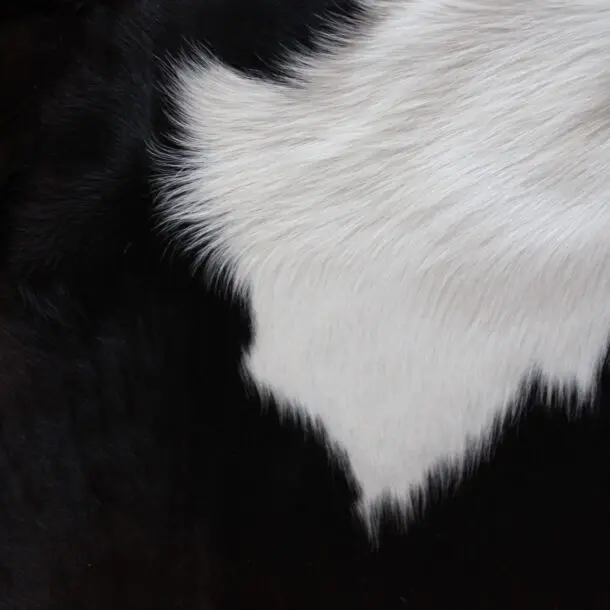 Cowhide Rug Exotic C01110