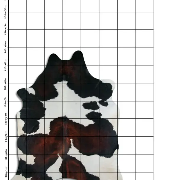 Cowhide Rug Exotic C01110