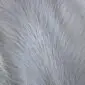 Close-up of natural white cowhide rug showing the texture of the short, soft animal hair.