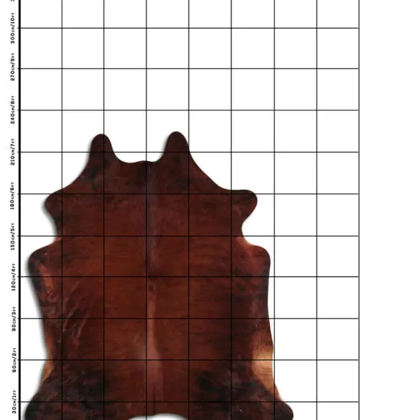 Cowhide Rug Brown C01113