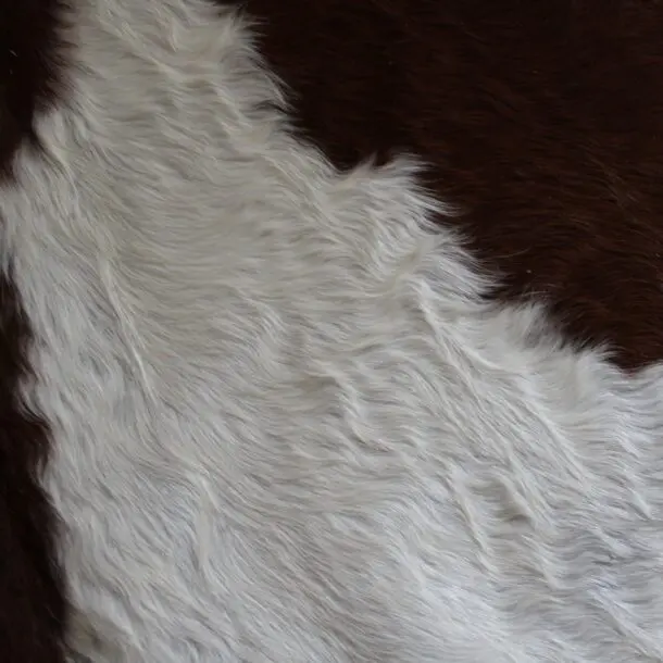 Cowhide Rug Brown and White C01115