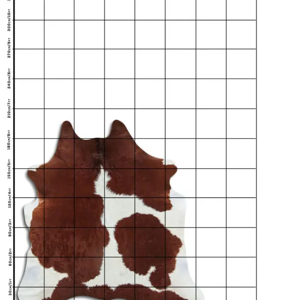Cowhide Rug Brown and White C01115