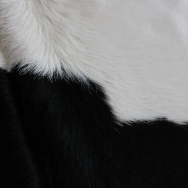 Cowhide Rug Black and White C01116