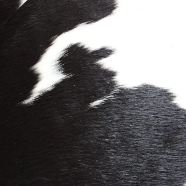 Cowhide Rug Black and White C01116